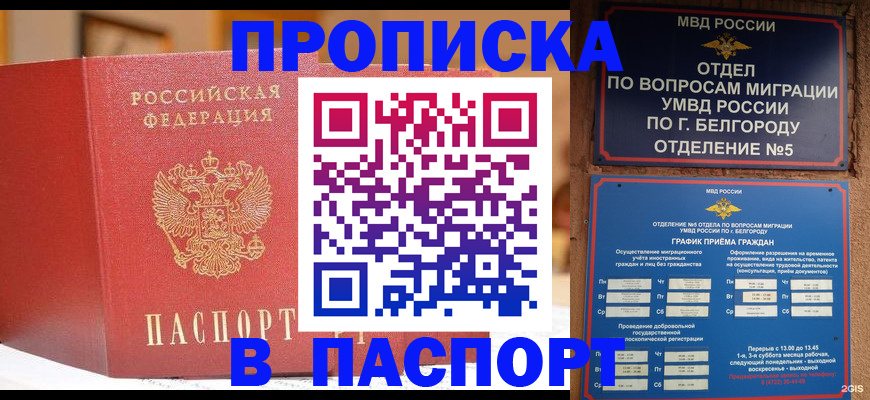 временная регистрация в квартире в Михайловске